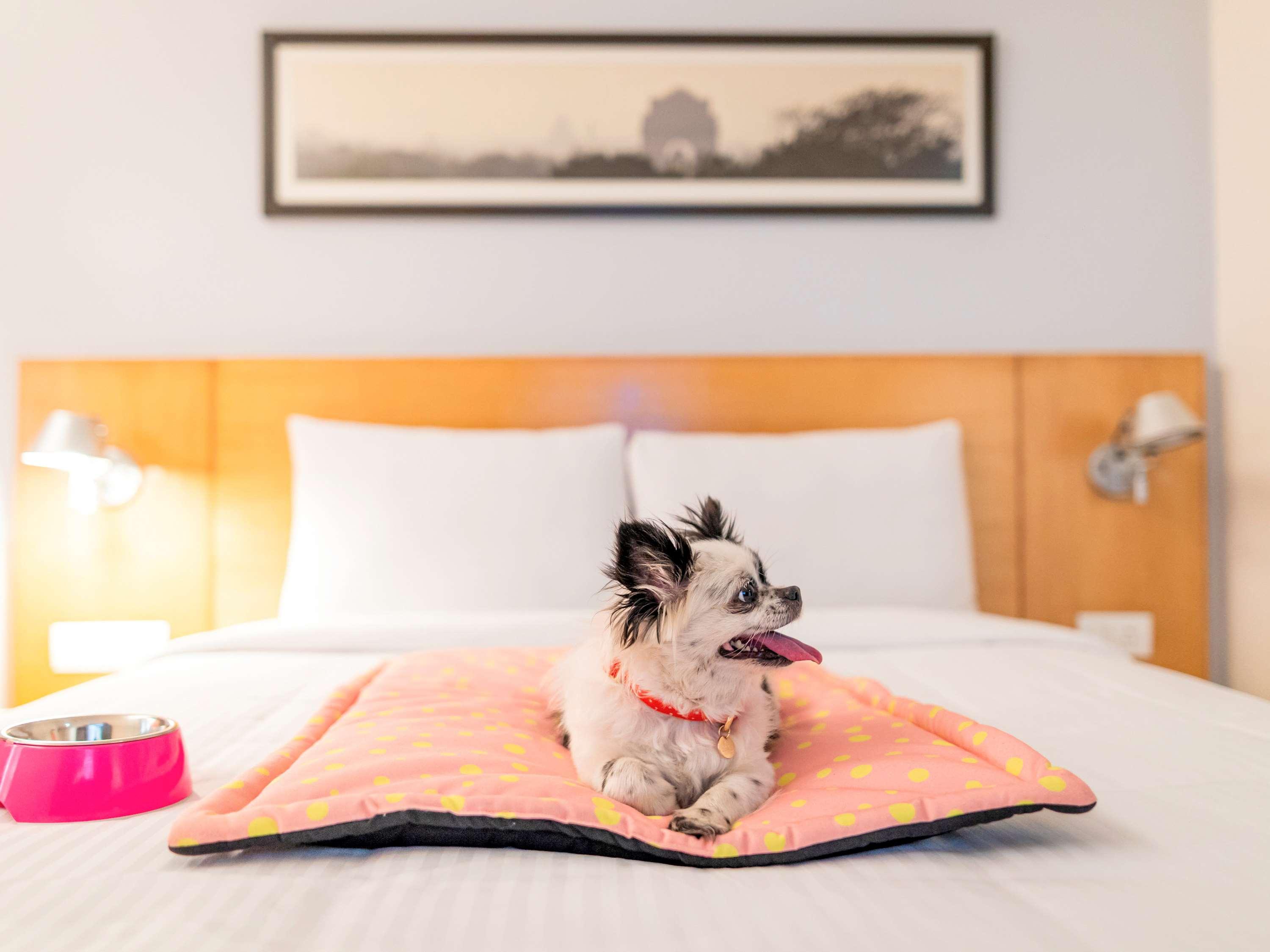 Ibis Jaipur City Centre - An Accor Brand Bagian luar foto